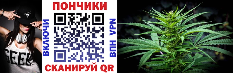 Бошки Шишки ГИДРОПОН  KRAKEN ONION  Радужный 
